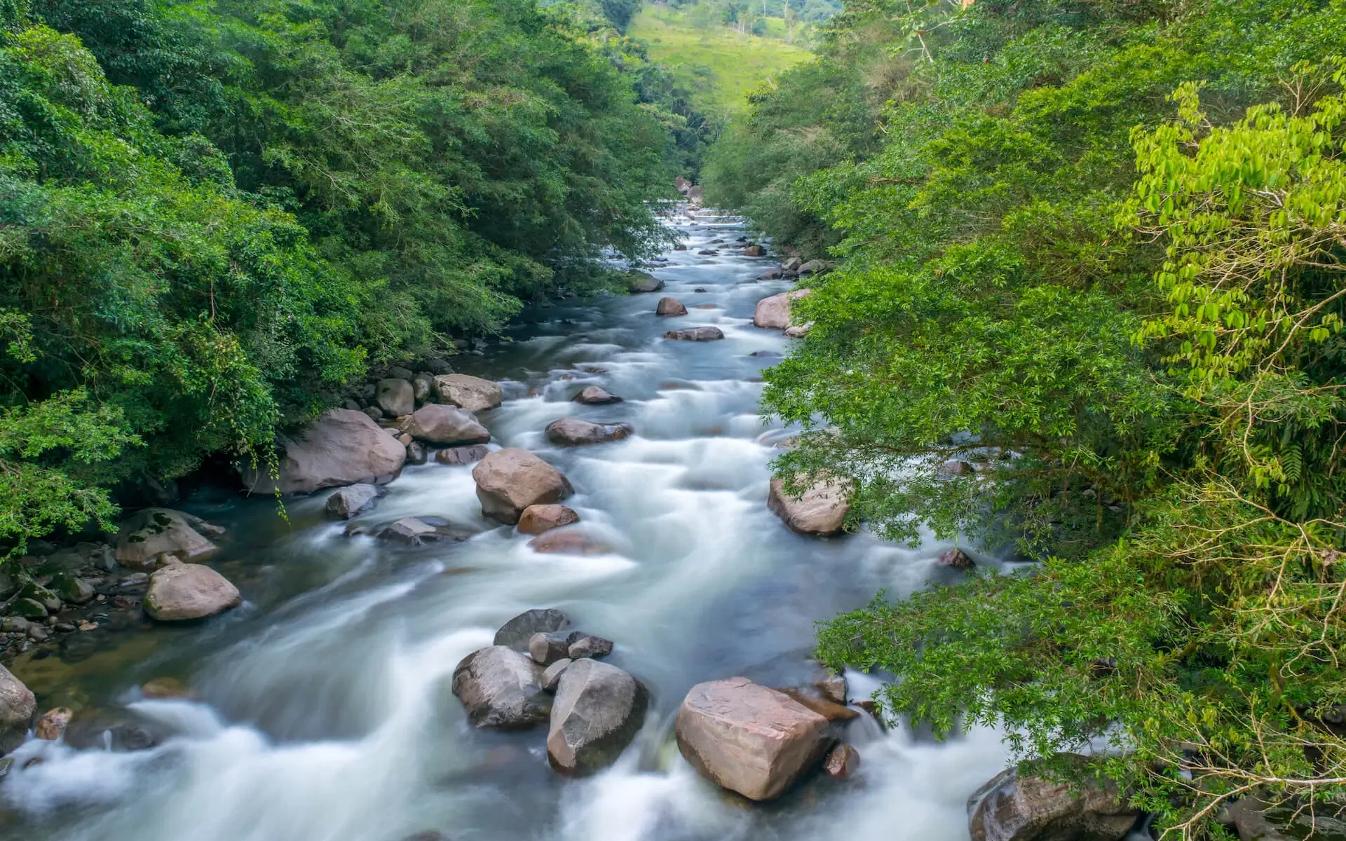 Carolina-andrea-losada-El-Carano-14-02-2016-Florencia-Caqueta-1