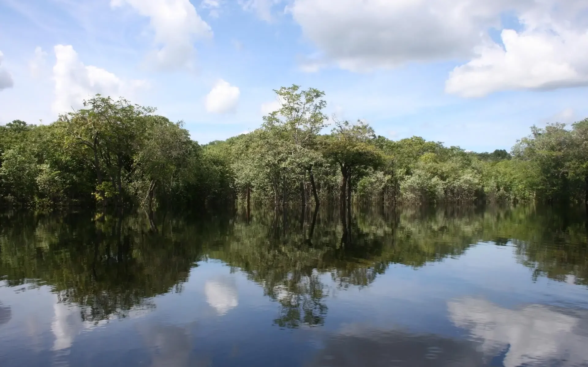 Dairon-C.-Laguna-cerca-a-la-comunidad-La-Ceiba-Inirida