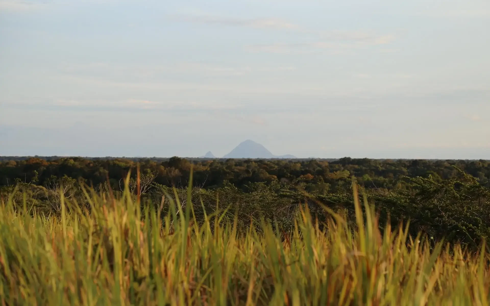 IMG_1054-Cerros-Mavecure-Inirida-Foto-Frank-Chavez